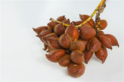 Salak is a Delicious Tropical Fruit. Stock Photo - Image of barb, fresh ...