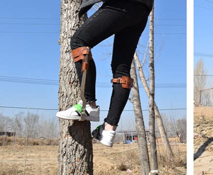 Non-Slip Tree Climbing Spikes Boots Suitable for High Altitude Logging ...