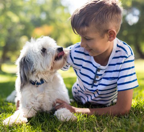 Qué es la mascotaterapia y como ayuda a los niños - Conociendo a mi perro