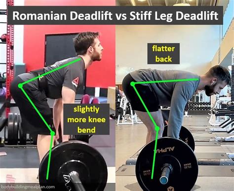 Romanian Deadlift vs Stiff Leg Deadlift: Differences & Muscles Worked ...