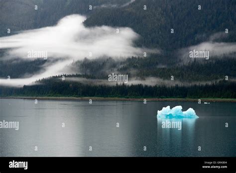 Icebergs near the Dawes Glacier, Endicott Arm, Tongass National Forest ...