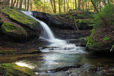 Free picture: forest, water, waterfall, river, stream, wood, nature ...