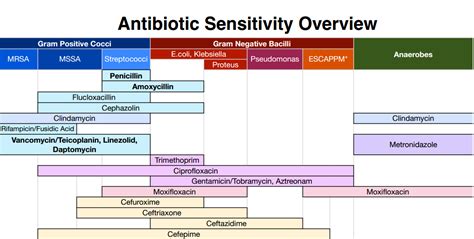 Gram positive vs gram negative antibiotic - truthreka