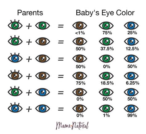 Will My Baby Have Blue Eyes: A Genetic Explanation Eye, 51% OFF