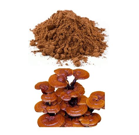 HERBS REISHI MUSHROOM POWDER 1 Kg – Herbs World Limited