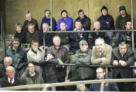 Cattle mart prices: Steady trade at Clogher Mart 14 August 2014 Premium