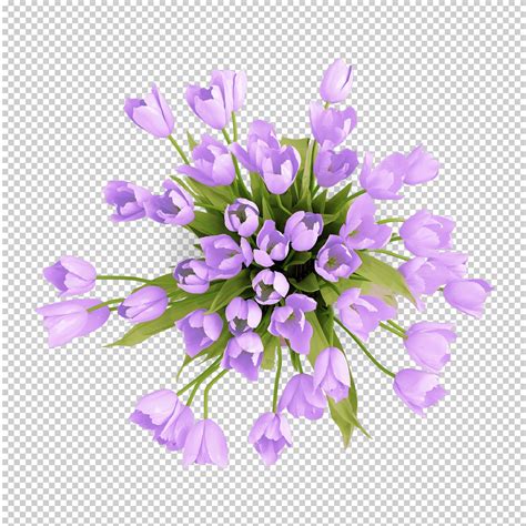 Flower Top View Png | Best Flower Site