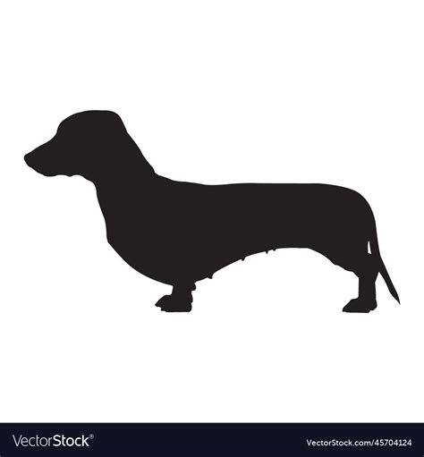 Dachshund dog silhouette Royalty Free Vector Image