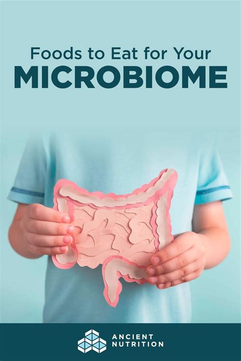 Foods to Eat for Your Microbiome in 2022 | Microbiome, Healthy gut, Foods to eat