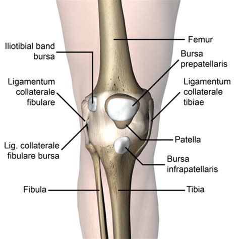 Prepatellar Bursitis - Physiopedia