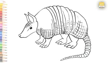 Armadillo outline drawing 01 II How to draw Armadillo drawing step by ...