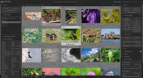 5 Best Photo Editors for Mac You Can Use for Free - Make Tech Easier