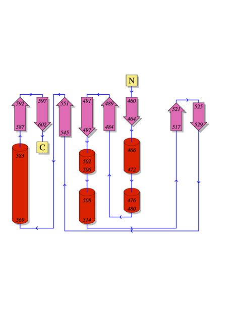 CCP4 Bulletin Board Archive: software to generate protein topology diagram like those available ...