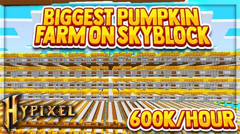 Hypixel Skyblock - The BIGGEST Pumpkin Farm On Skyblock (600K Per Hour) - YouTube