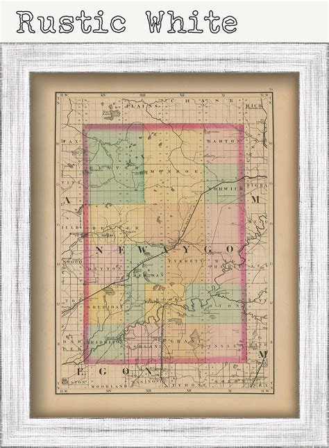 NEWAYGO COUNTY, Michigan 1873 Map - Replica or Genuine Original