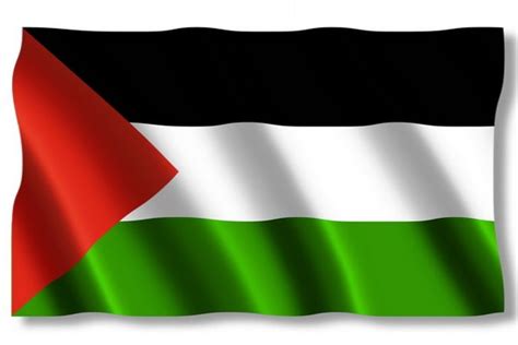 Palestina Sesalkan Pengibaran Bendera Pada Demonstrasi Indonesia ...