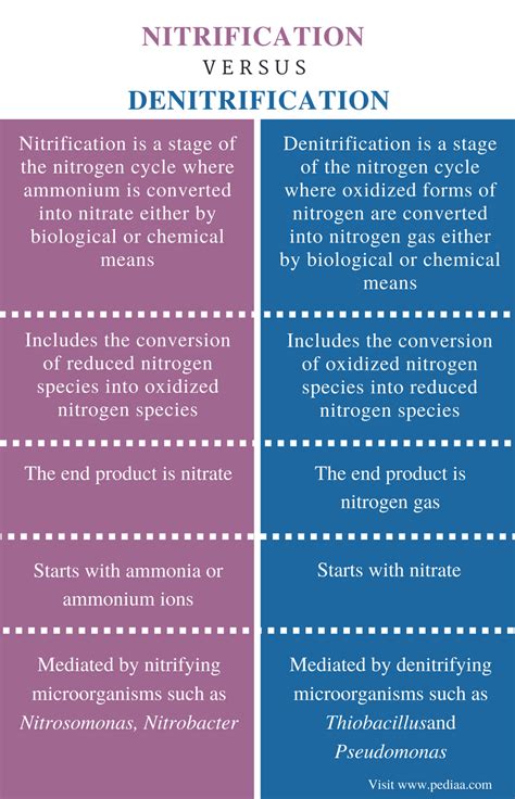 Difference Between Nitrification and Denitrification | Definition ...