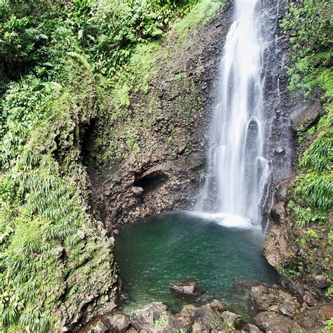 Middleham Falls: one of the nicest and tallest waterfalls in Dominica - Tiplr