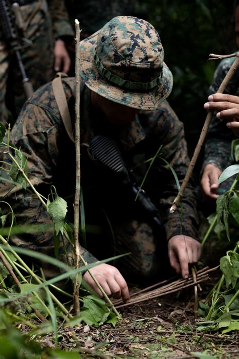 DVIDS - Images - U.S. Marines learn jungle survival skills from ...