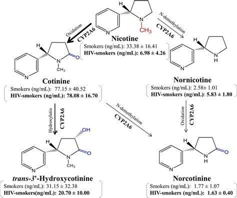 Correction to “Enhanced Nicotine Metabolism in HIV-1–Positive Smokers Compared with HIV-Negative ...