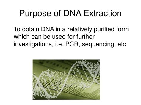 PPT - DNA Extraction PowerPoint Presentation - ID:318178