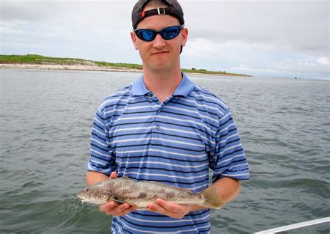 Outer Banks Fishing Report | Northern Kingfish