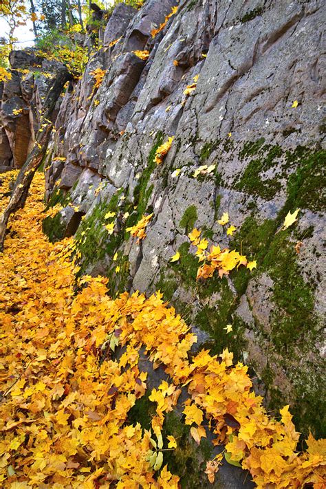 Devil's Lake Fall Color Photograph by Ray Mathis | Fine Art America