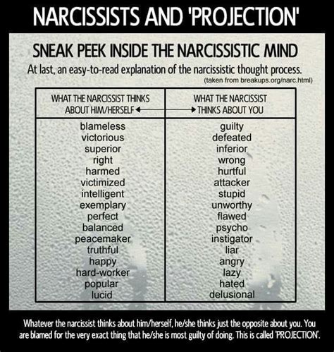 73 best narcissistic sociopath images on Pinterest | Thoughts ...