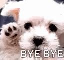 Good Bye Dog GIF - GoodBye Bye Dog - Discover & Share GIFs