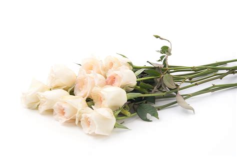 shutterstock_232690111 BLOG funeral flowers loose white roses - Your Life Assist