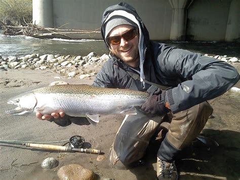 Oregon Winter Steelhead caught using the Skagit Switch fly line from Airflo! | Fly fishing ...