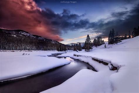 Winter's Light by Noel Casaje in Lamar Valley Yellowstone | Lamar ...