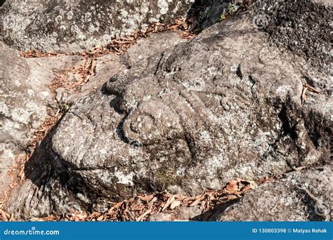 Sculptures at Archaeological Site Los Sapos Near Copan Ruinas, Hondur Stock Photo - Image of ...