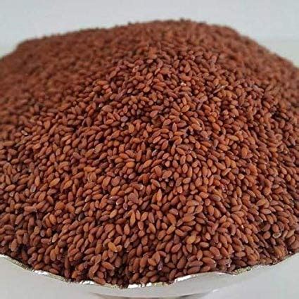 6 Images What Is Garden Cress Seeds In Hindi And Description - Alqu Blog