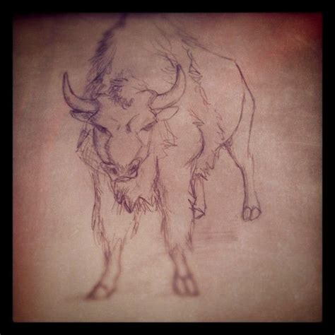 Buffalo-- pencil drawing | Pencil drawings, Drawings, Animal tattoo