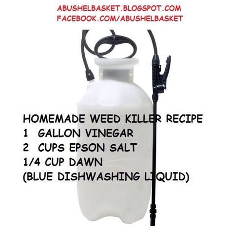 Homemade Weed Killer Recipe - Musely