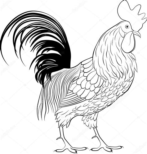 Rooster Fight Drawing | Free download on ClipArtMag