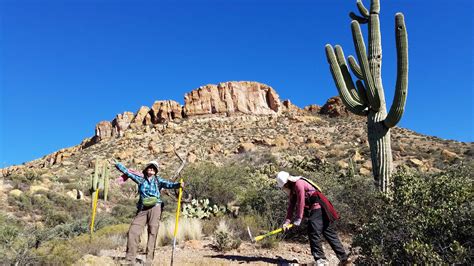 Tonto National Forest - Arizona National Scenic Trail - American Hiking ...