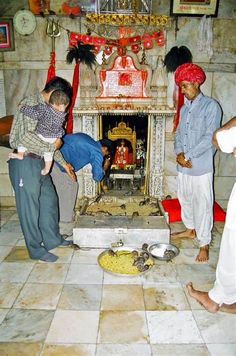 Karni Mata Deshnoke Rat Temple, Bikaner India. Deshnoke the famous Karni Mata te , #AD, #Rat, # ...