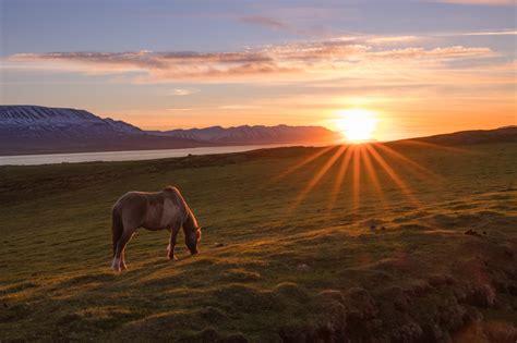 Midnight Sun in Iceland - When and where to see it | Iceland Premium Tours