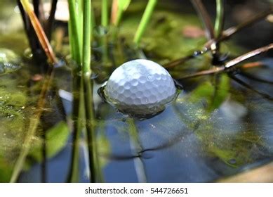 Golf Ball Water Hazard Stock Photo 544726651 | Shutterstock