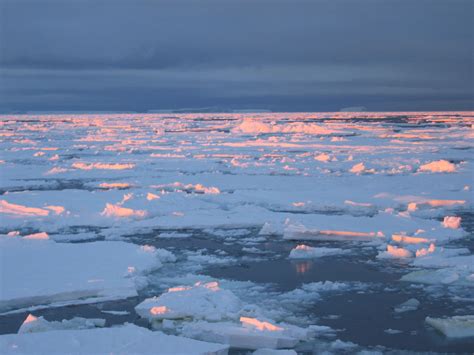 North Pole Ice Melting Faster than Estimation | Green minds