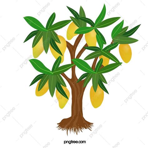 Mango Tree Clipart Vector, Mango Tree, Mango Clipart, Tree Clipart PNG Image For Free Download ...