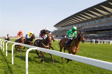 Ascot Racecourse | Event Guide | The Gaitpost