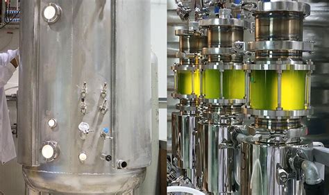 New Bioreactors to Boost Microalgae Production for Biofuels - algaeplanet.com