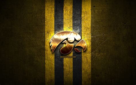 Aggregate more than 69 iowa hawkeye wallpaper best - in.cdgdbentre