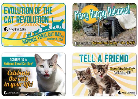 Happy National Feral Cat Day! | Alley Cat Allies