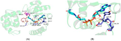 Catalysts | Free Full-Text | Biocatalytic Cascade of Sebacic Acid ...