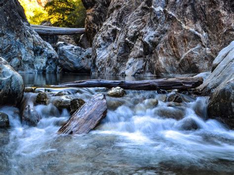 Where to Swim in Big Sur: Top 7 Beaches and Hidden Coves – The Park's Life