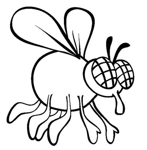 Fly (Animals) – Free Printable Coloring Pages